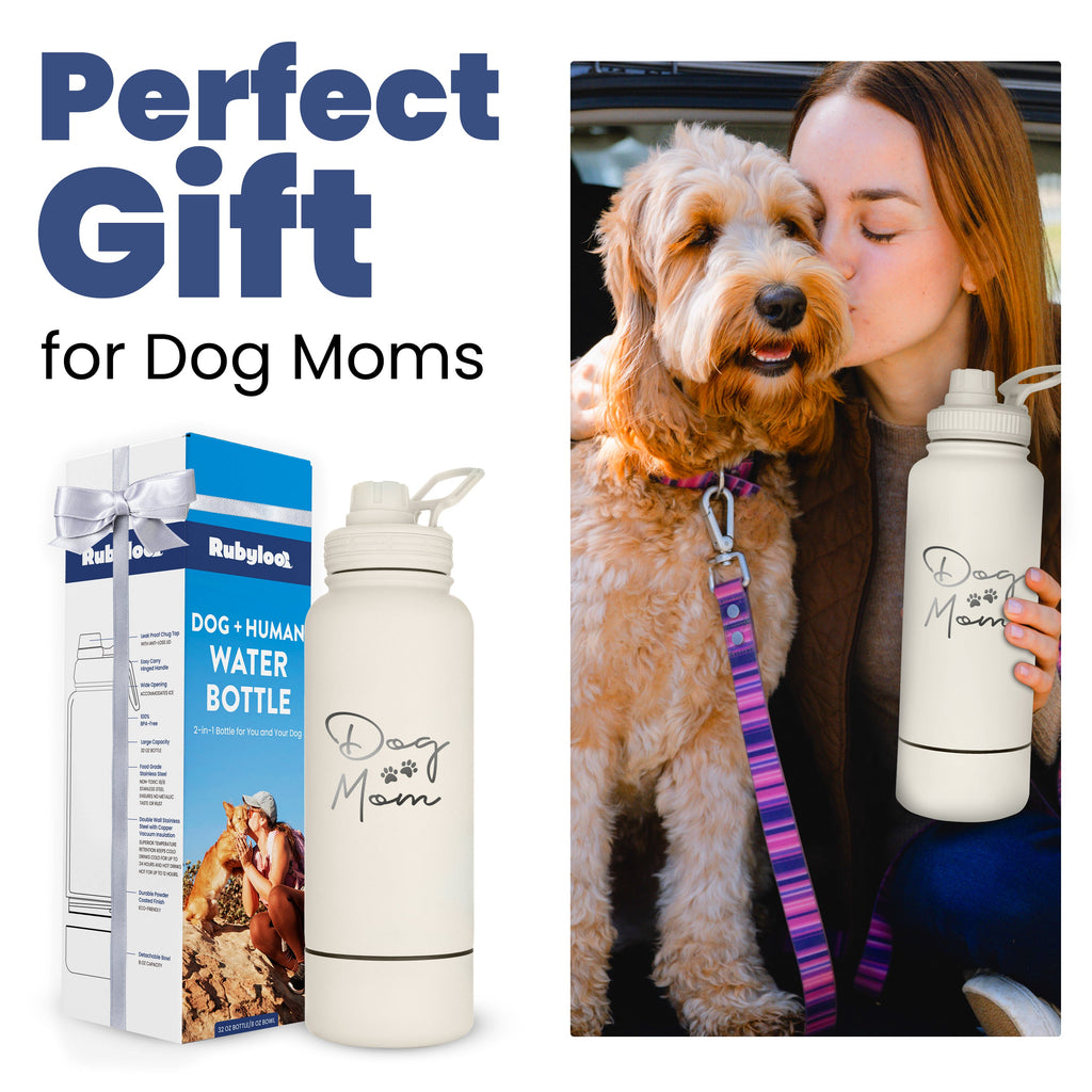 SierraPaws 2-in-1 Adventure Stainless Steel Bottle